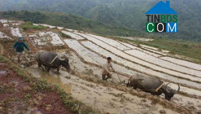 Hình ảnh Nậm Hàng, Lai Châu
