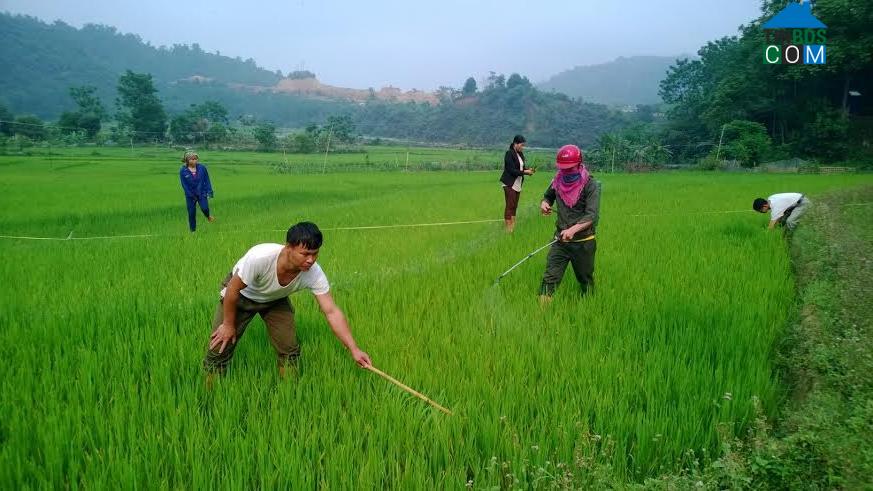 Hình ảnh Bum Nưa, Lai Châu