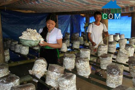 Hình ảnh Tân Uyên, Lai Châu