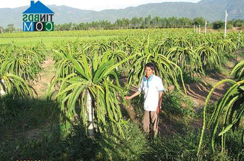 Hình ảnh Hàm Kiệm, Lâm Đồng