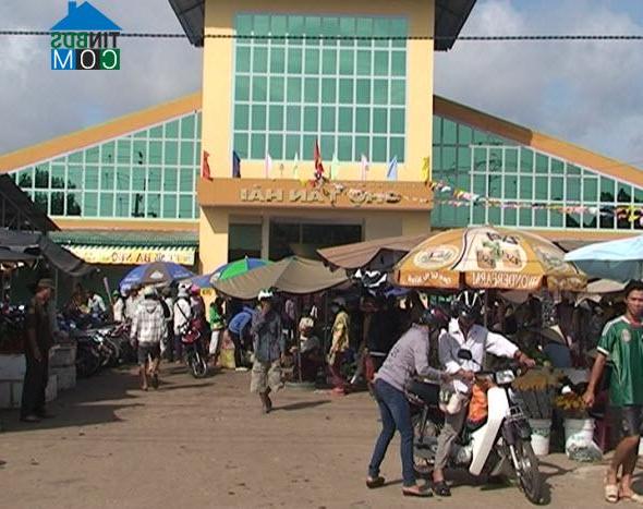 Hình ảnh Tân Hải, Lâm Đồng