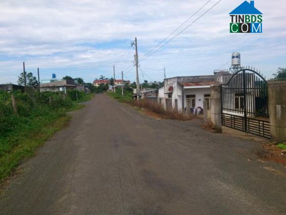 Hình ảnh 2 Bảo Lộc, Lâm Đồng