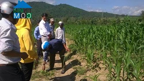 Hình ảnh La Dạ, Lâm Đồng