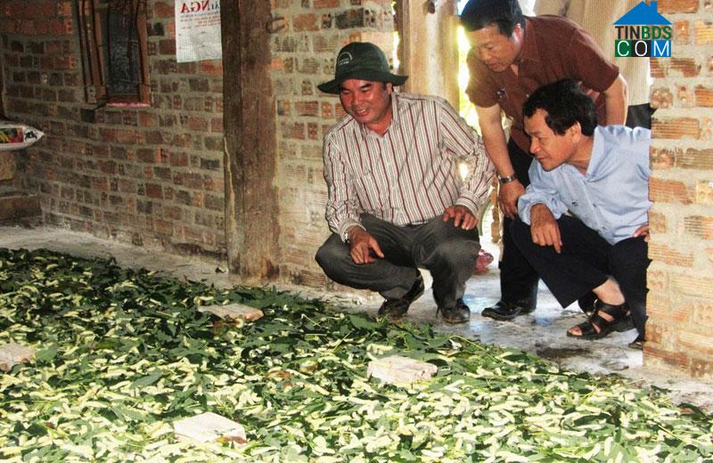 Hình ảnh Đạ Tẻh, Lâm Đồng