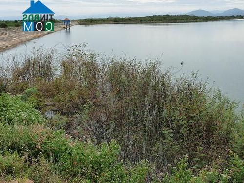 Hình ảnh Hồng Sơn, Lâm Đồng