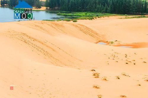 Hình ảnh Hồng Thái, Lâm Đồng