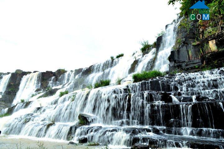 Hình ảnh Tân Hội, Lâm Đồng