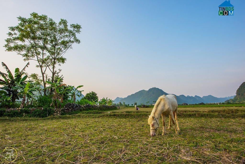 Hình ảnh Bắc Sơn, Lạng Sơn