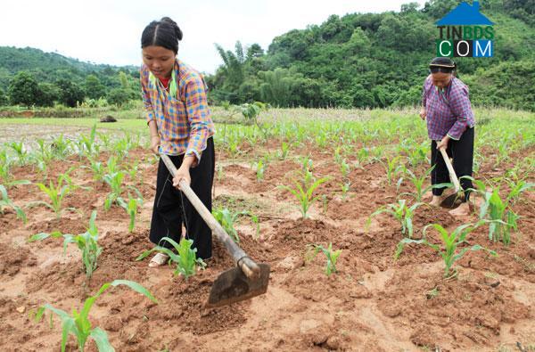 Hình ảnh Cao Lộc, Lạng Sơn