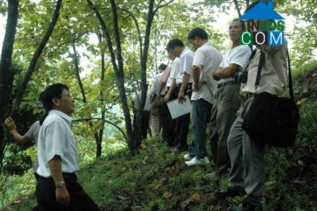 Hình ảnh Hoàng Văn Thụ, Lạng Sơn