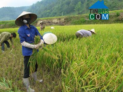 Hình ảnh Tân Thành, Lạng Sơn