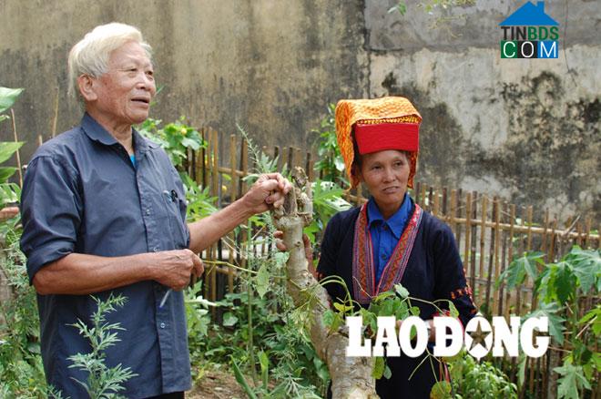 Hình ảnh Tuấn Sơn, Lạng Sơn