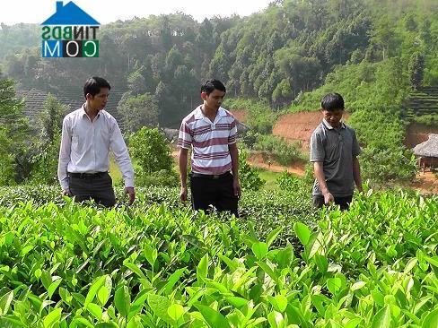 Hình ảnh Khánh Hòa, Lào Cai