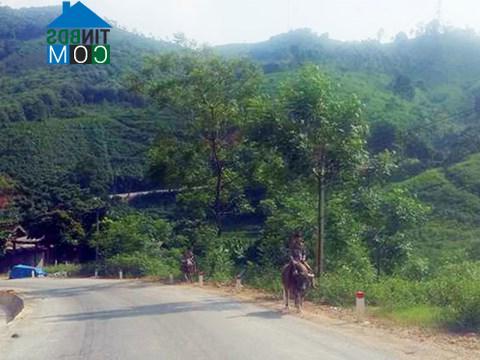 Hình ảnh Lâm Giang, Lào Cai