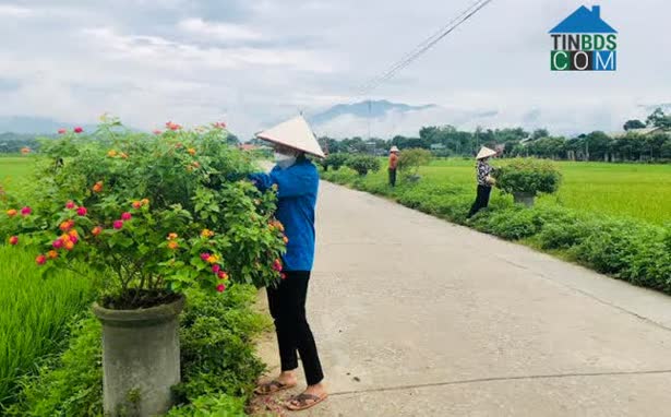 Hình ảnh Liên Sơn, Lào Cai