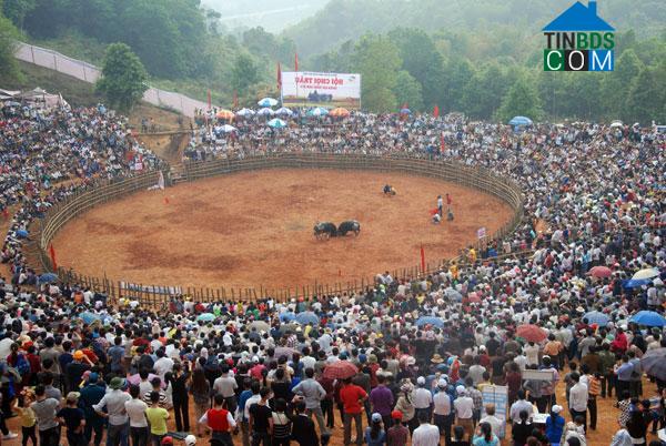 Hình ảnh Gia Phú, Lào Cai