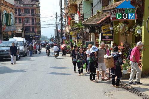 Hình ảnh Sa Pa, Lào Cai