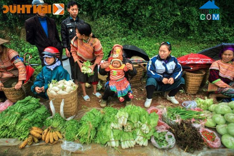 Hình ảnh Sín Chéng, Lào Cai