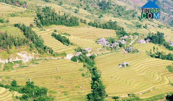 Hình ảnh Tả Củ Tỷ, Lào Cai