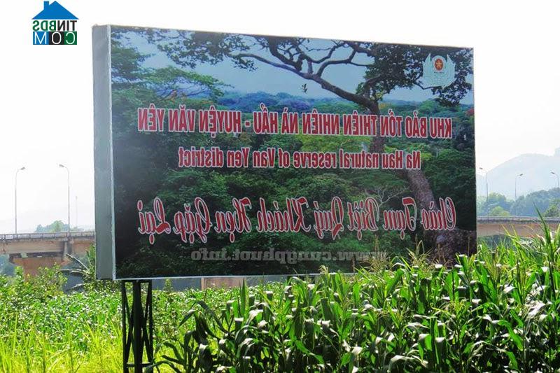 Hình ảnh Tân Hợp, Lào Cai