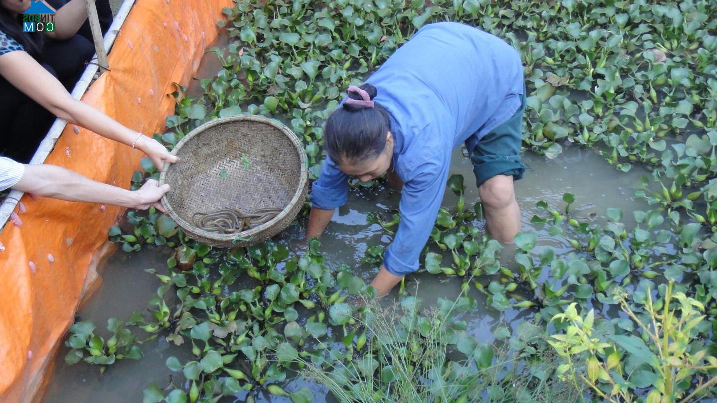 Hình ảnh Tân Lĩnh, Lào Cai