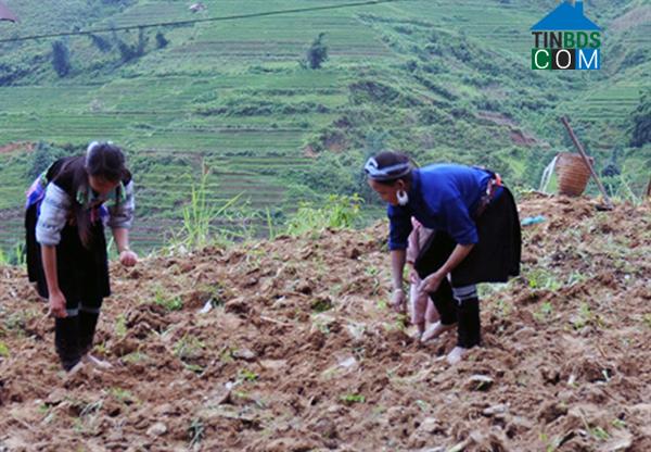 Hình ảnh Mường Hum, Lào Cai