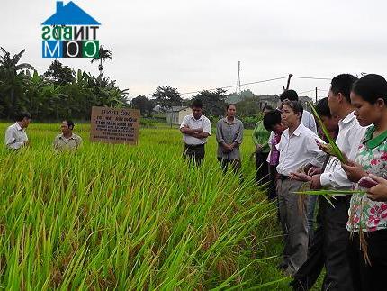 Hình ảnh Mường Lai, Lào Cai