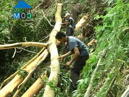 Hình ảnh Phong Dụ Hạ, Lào Cai