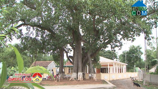 Hình ảnh Bạch Hà, Nghệ An