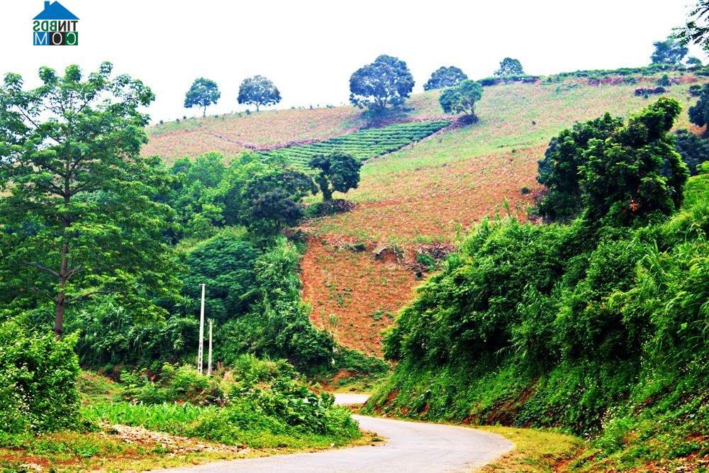 Hình ảnh Văn Chấn, Lào Cai