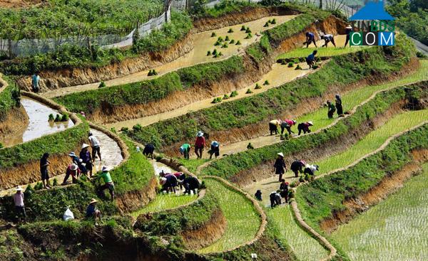 Hình ảnh Y Tý, Lào Cai