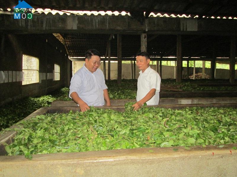 Hình ảnh Yên Bình, Lào Cai