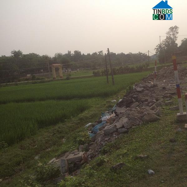 Hình ảnh Yên Xuân, Nghệ An