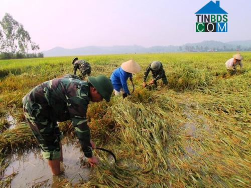 Hình ảnh Hưng Nguyên, Nghệ An
