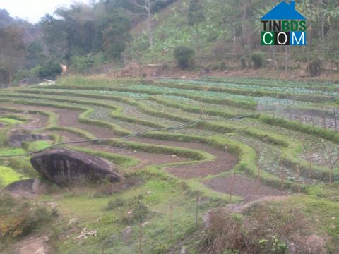 Hình ảnh Hữu Kiệm, Nghệ An