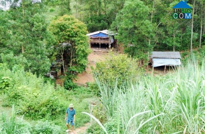 Hình ảnh Nghĩa Lâm, Nghệ An