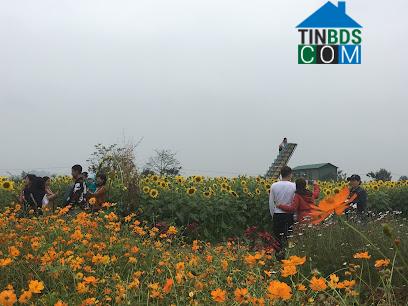 Hình ảnh Mường Quàng, Nghệ An