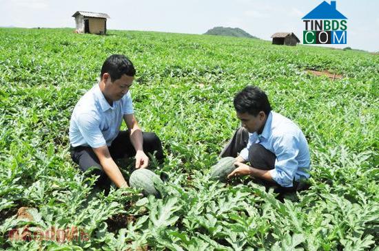 Hình ảnh Nghĩa Đàn, Nghệ An