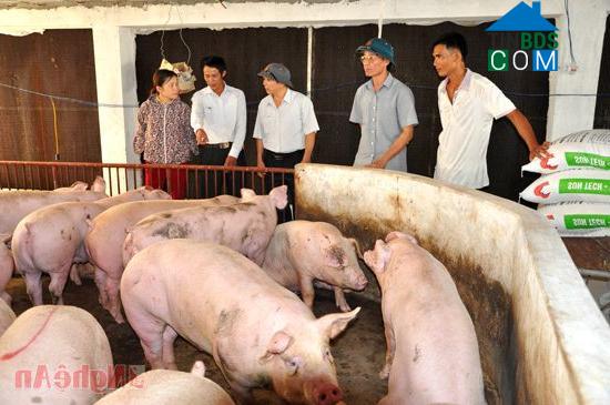 Hình ảnh Nghĩa Hành, Nghệ An