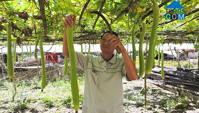 Hình ảnh Sa Thầy, Quảng Ngãi