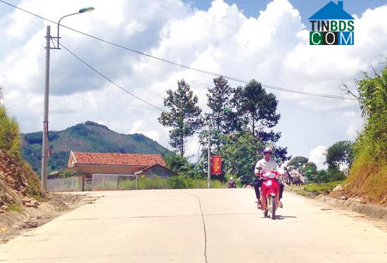 Hình ảnh Sơn Tây, Quảng Ngãi