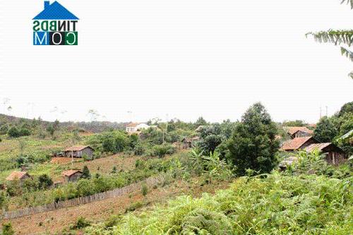 Hình ảnh Măng Đen, Quảng Ngãi