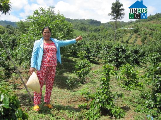 Hình ảnh Măng Ri, Quảng Ngãi