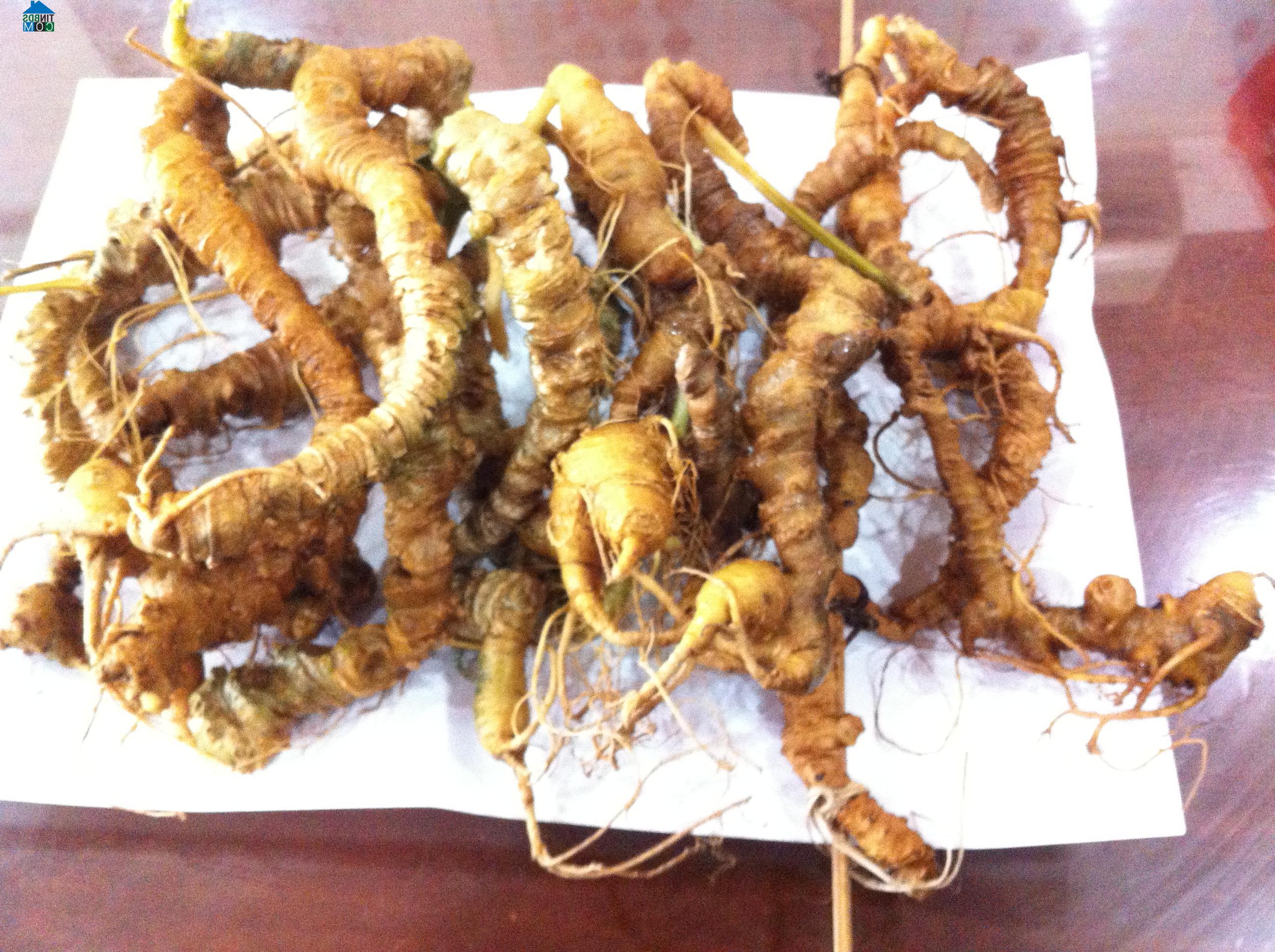 Hình ảnh Ngọc Linh, Quảng Ngãi