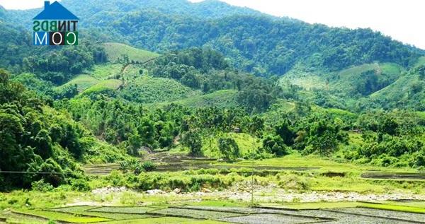 Hình ảnh Sơn Tây Thượng, Quảng Ngãi