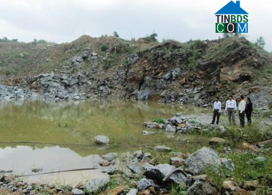 Hình ảnh Thọ Phong, Quảng Ngãi