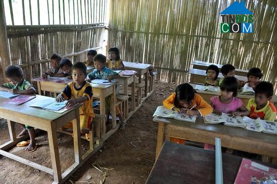 Hình ảnh Tây Trà, Quảng Ngãi