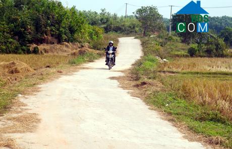 Hình ảnh Quảng Tân, Quảng Ninh