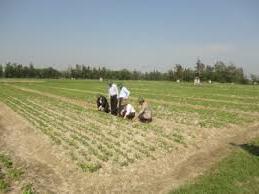 Hình ảnh Gio Linh, Quảng Trị