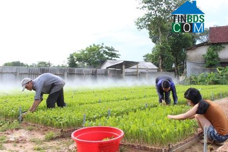 Hình ảnh Hiếu Giang, Quảng Trị